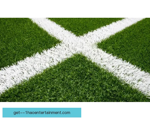 2026世界杯纽约新泽西决赛场地草坪更换为先进混合草技术提升比赛质量